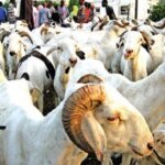 Tabaski : la Commission nationale fixe le calendrier lunaire