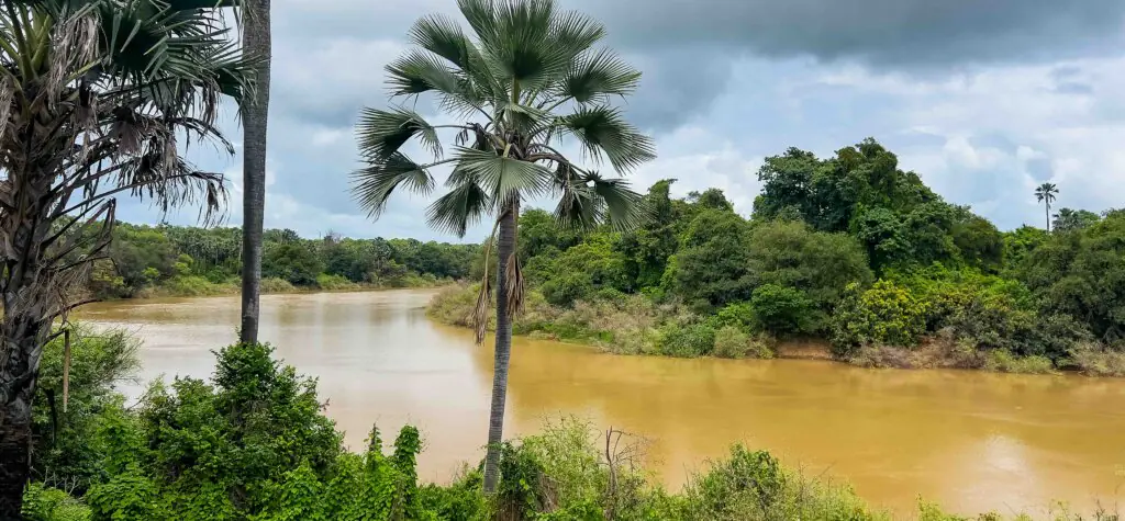 Grande nuit du conte