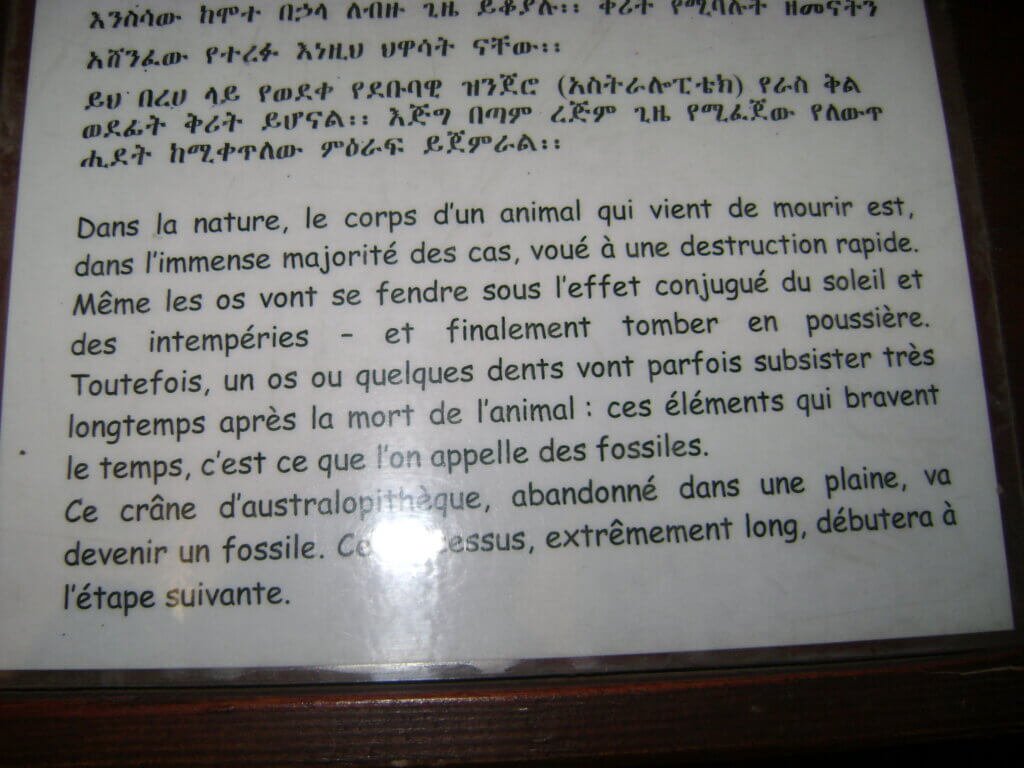 Photos